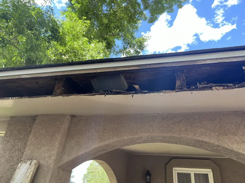 Slide of Bear Restoration