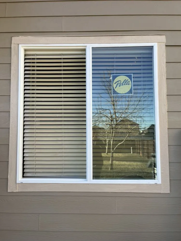 Slide of Bear Restoration