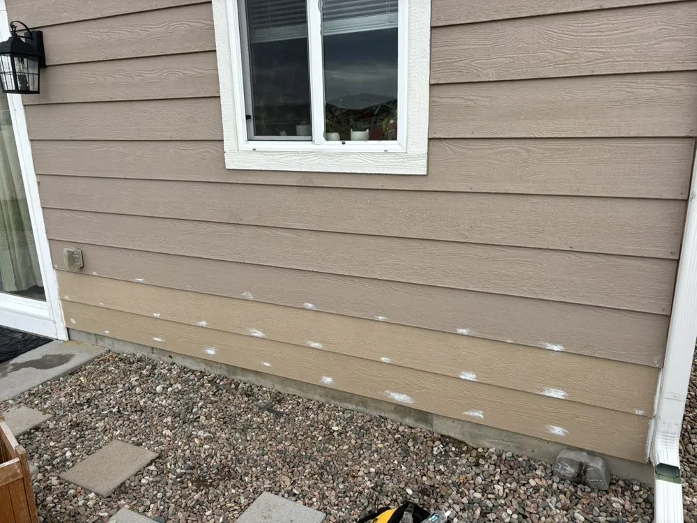 Slide of Bear Restoration