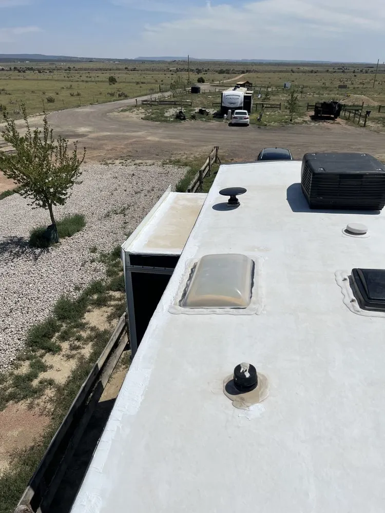 Slide of Bear Restoration