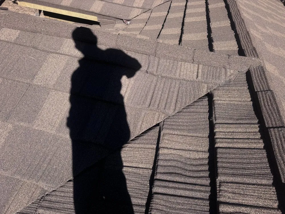 Slide of Bear Restoration