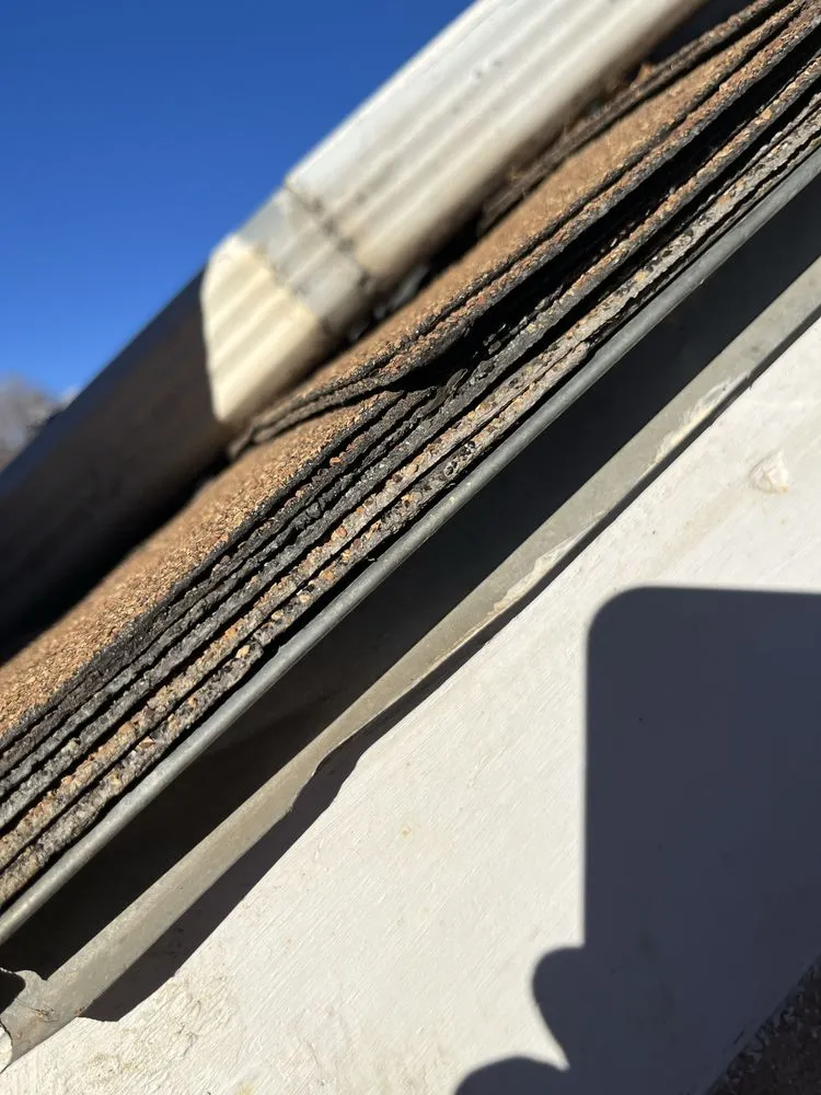 Slide of Bear Restoration