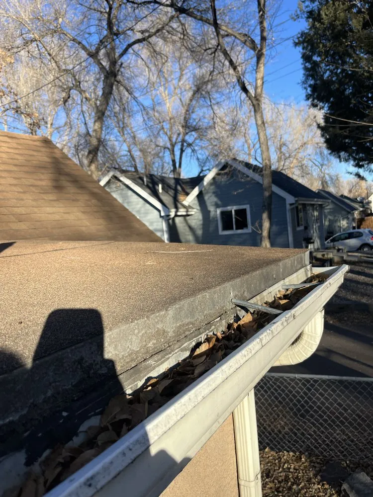 Slide of Bear Restoration