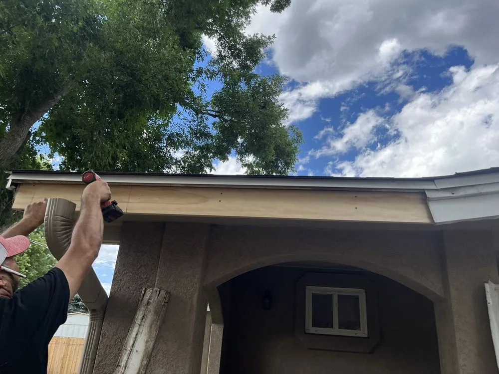 Slide of Bear Restoration