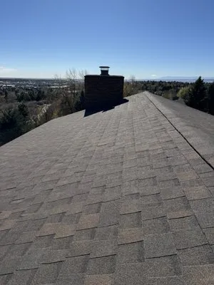 Bear Restoration Logo