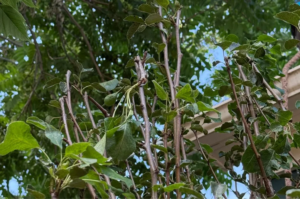 Slide of Beard Brothers Roofing