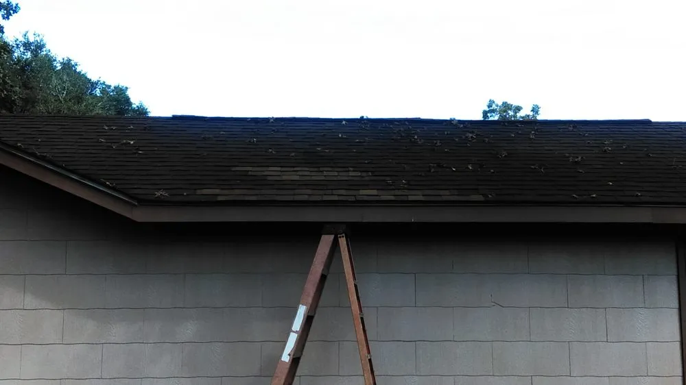 Slide of Bearded Guy Contracting