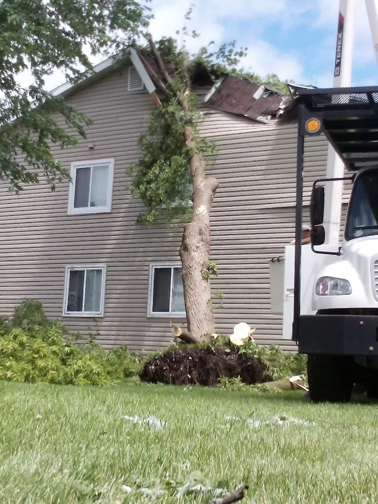 Slide of Beastly Roofing