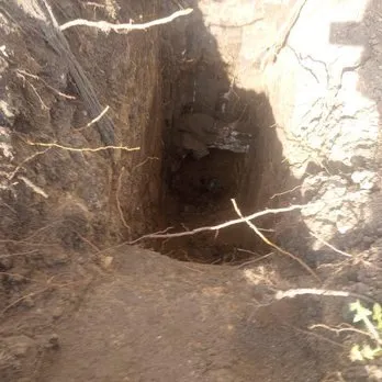 Slide of Beavers masonry