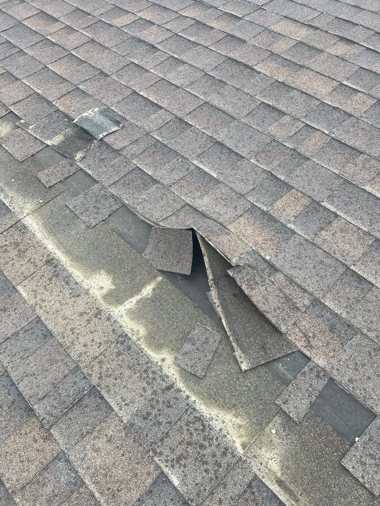 Slide of Becerra Brothers Roofing