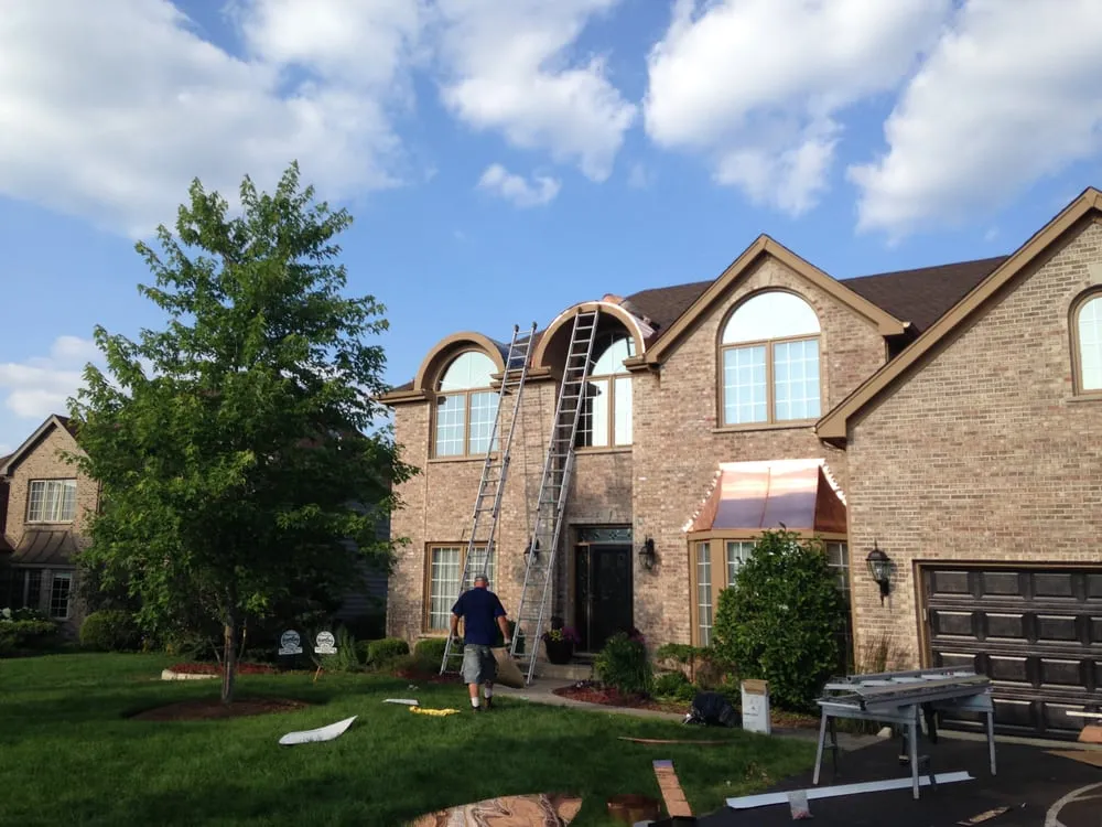 Slide of Bee Quality