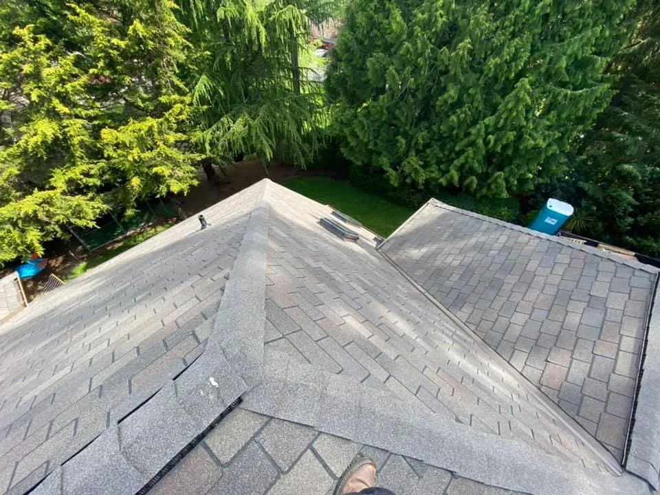 Slide of Bee Roofing and Exteriors