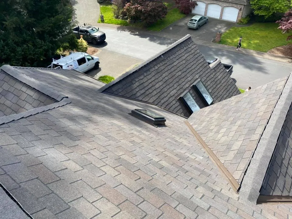 Slide of Bee Roofing and Exteriors