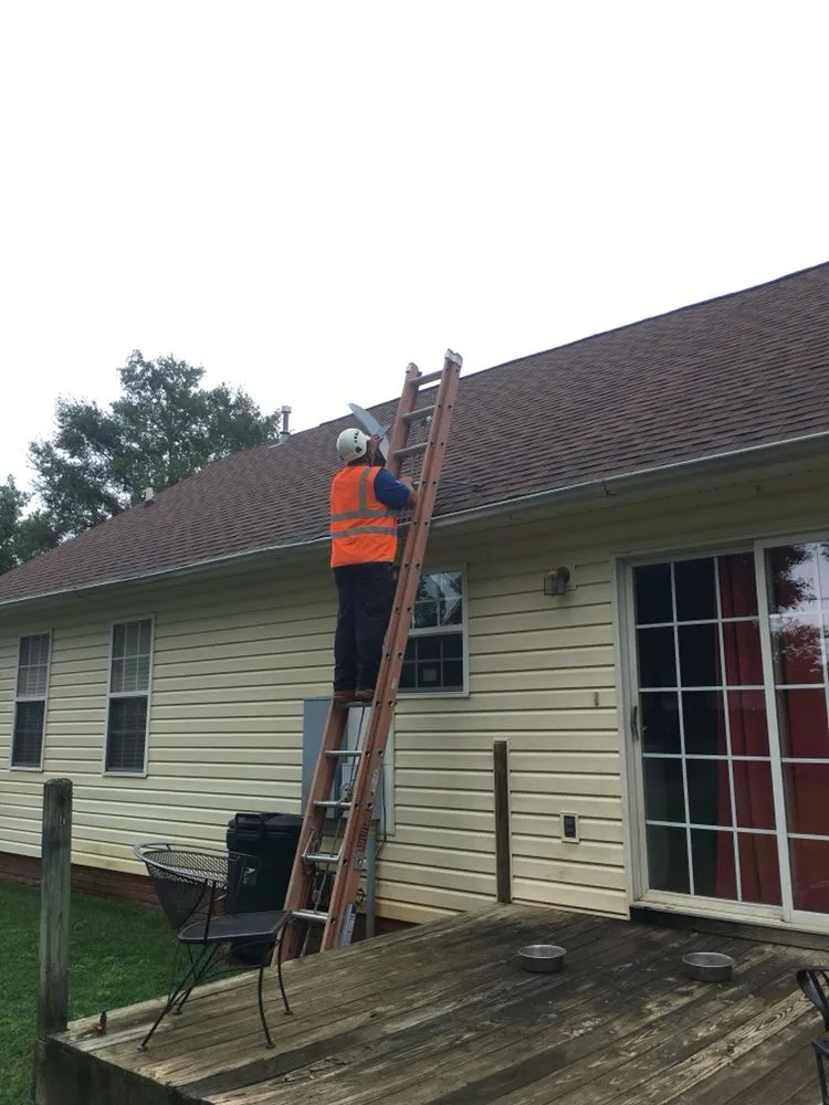 Slide of Bee Roofing