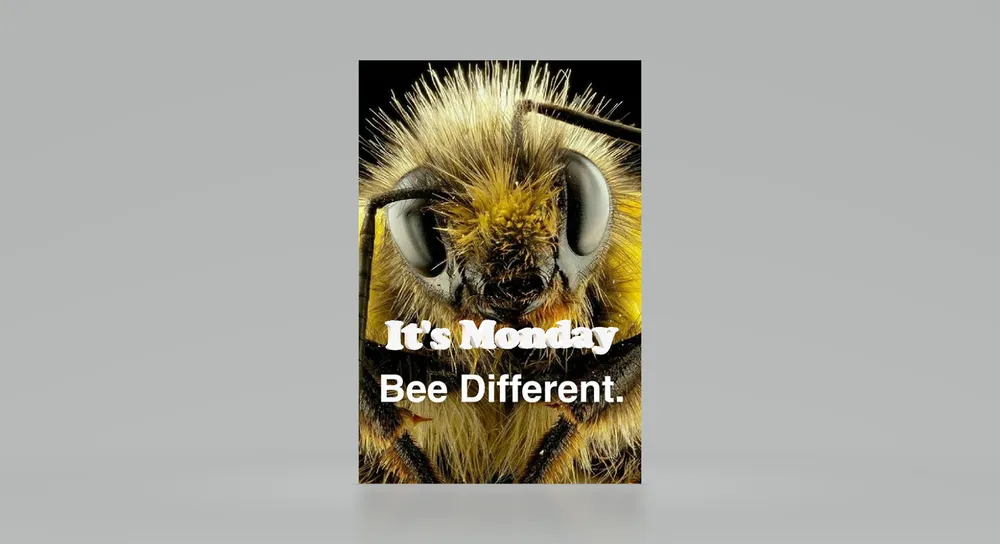 Slide of Bee Roofing