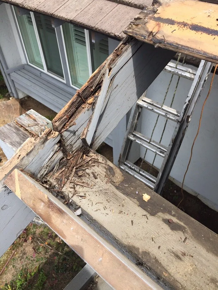 Slide of Beethovens Roofing Works