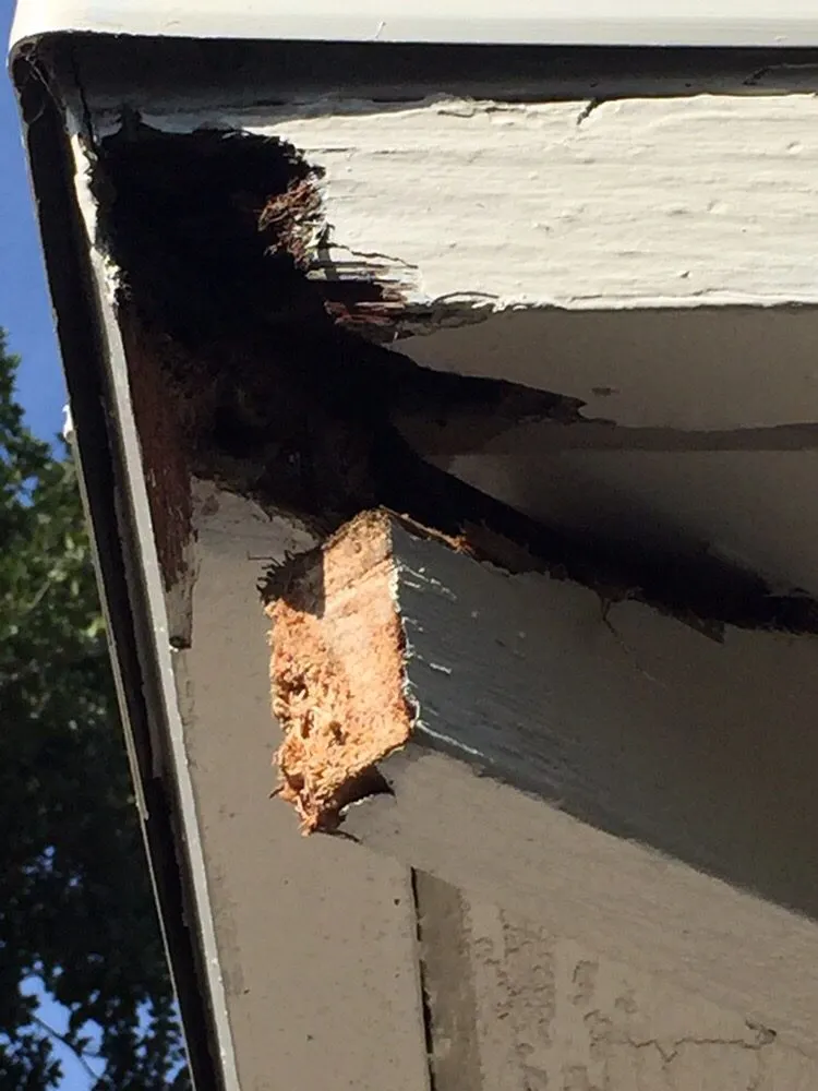 Slide of Beethovens Roofing Works