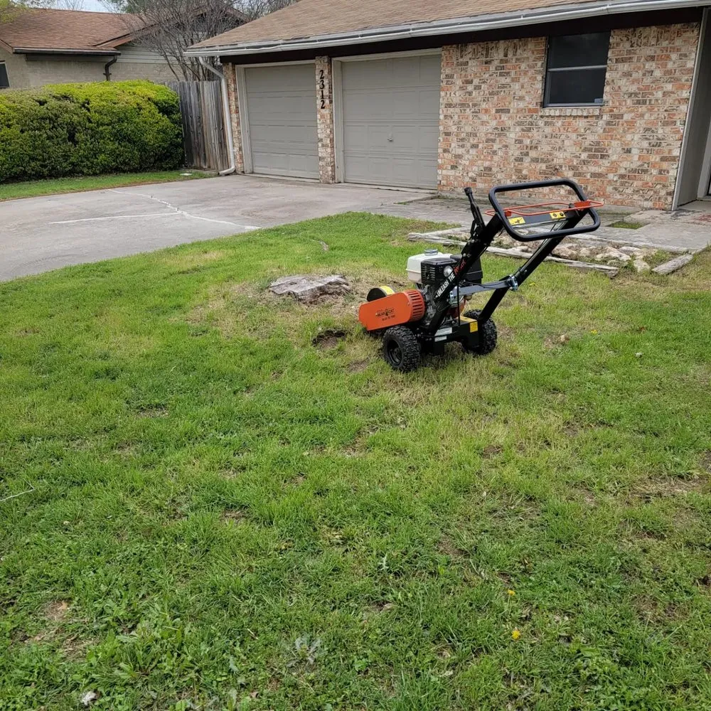 Slide of Before The Grass