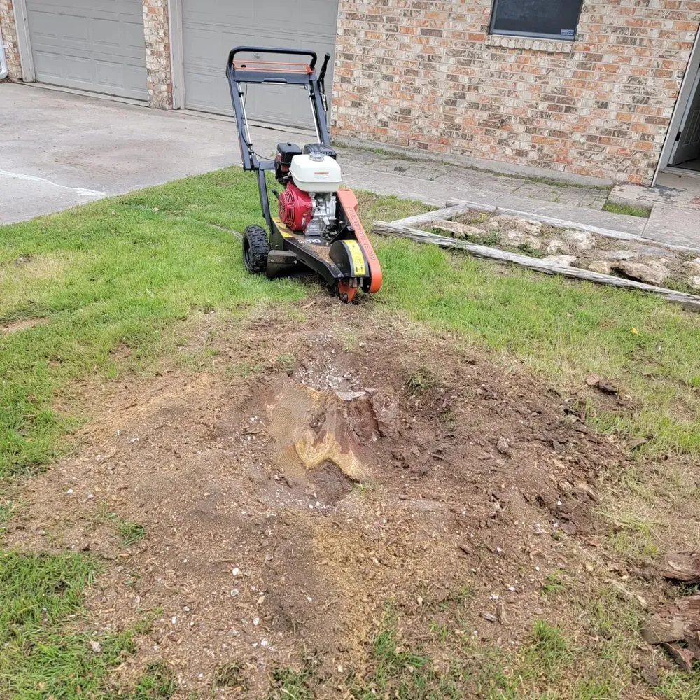 Slide of Before The Grass