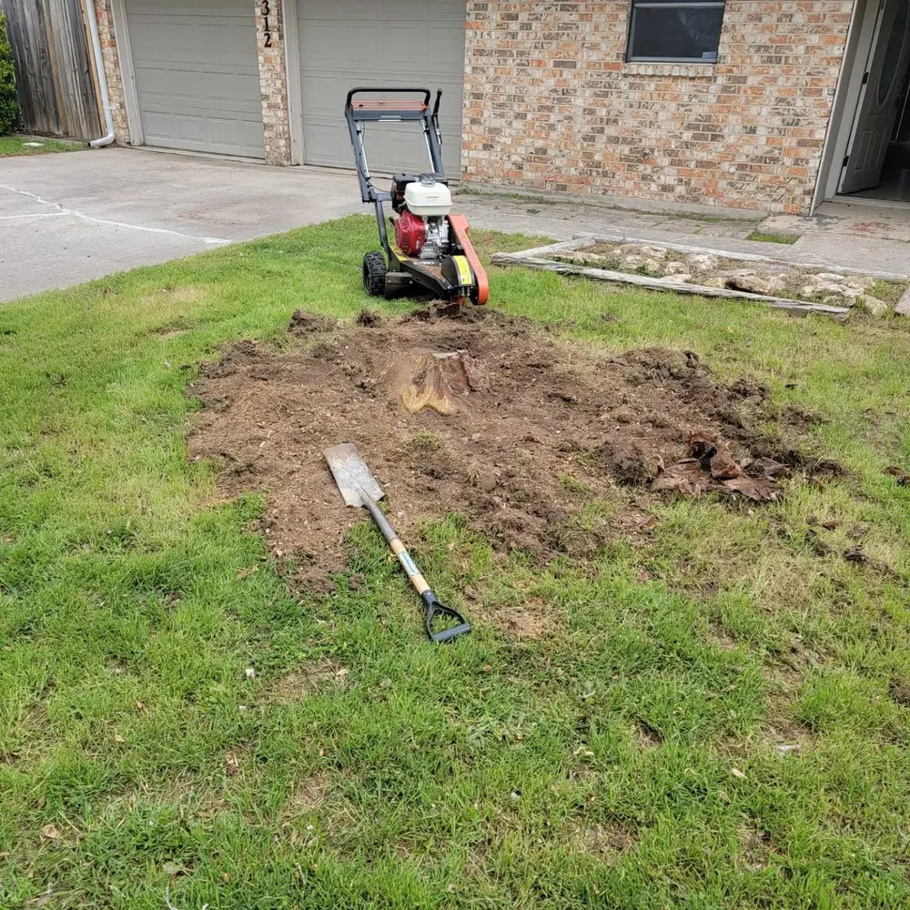 Slide of Before The Grass