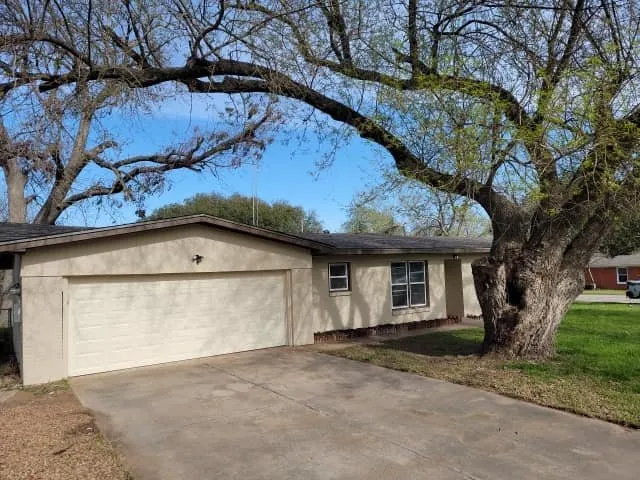 Slide of Before The Grass