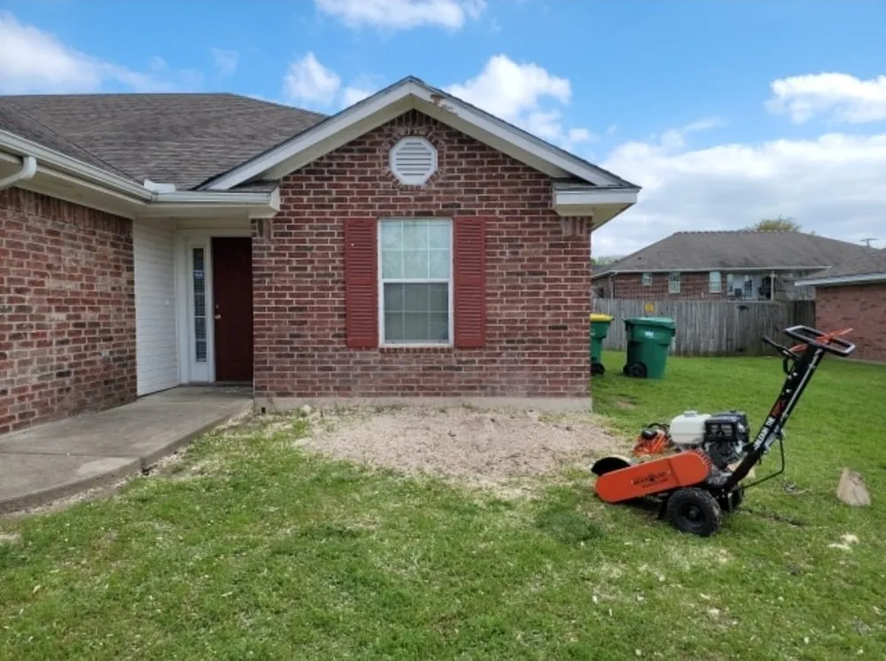 Slide of Before The Grass