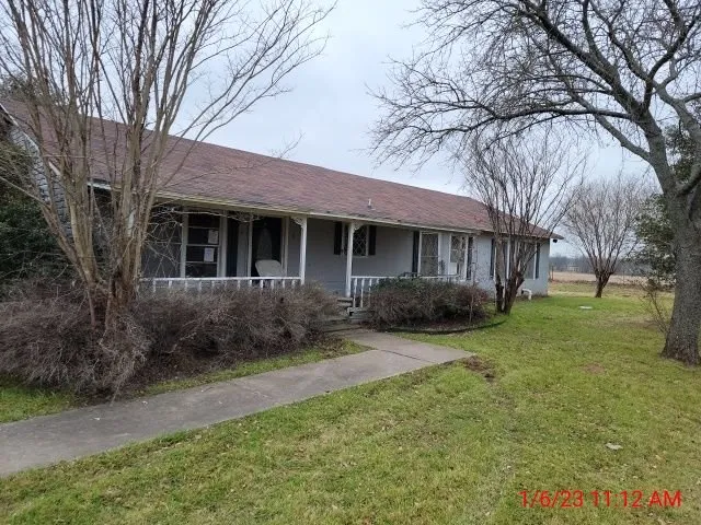 Slide of Before The Grass