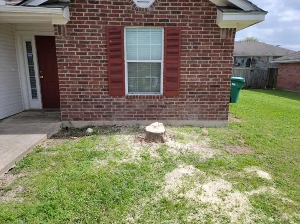 Slide of Before The Grass