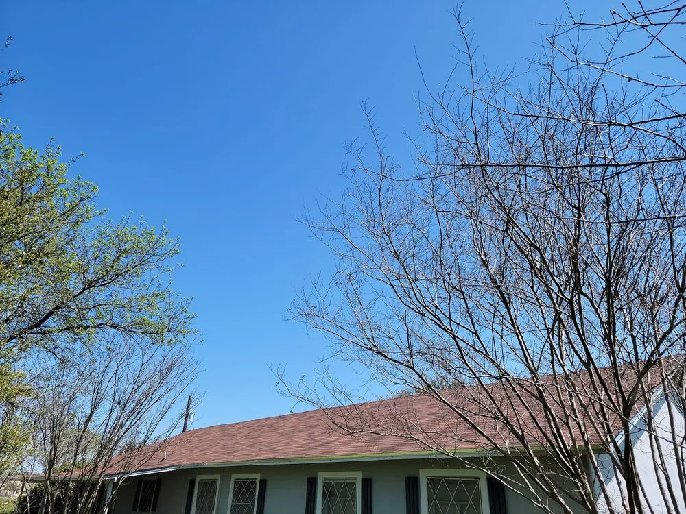 Slide of Before The Grass