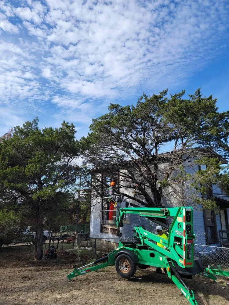 Slide of Before The Grass