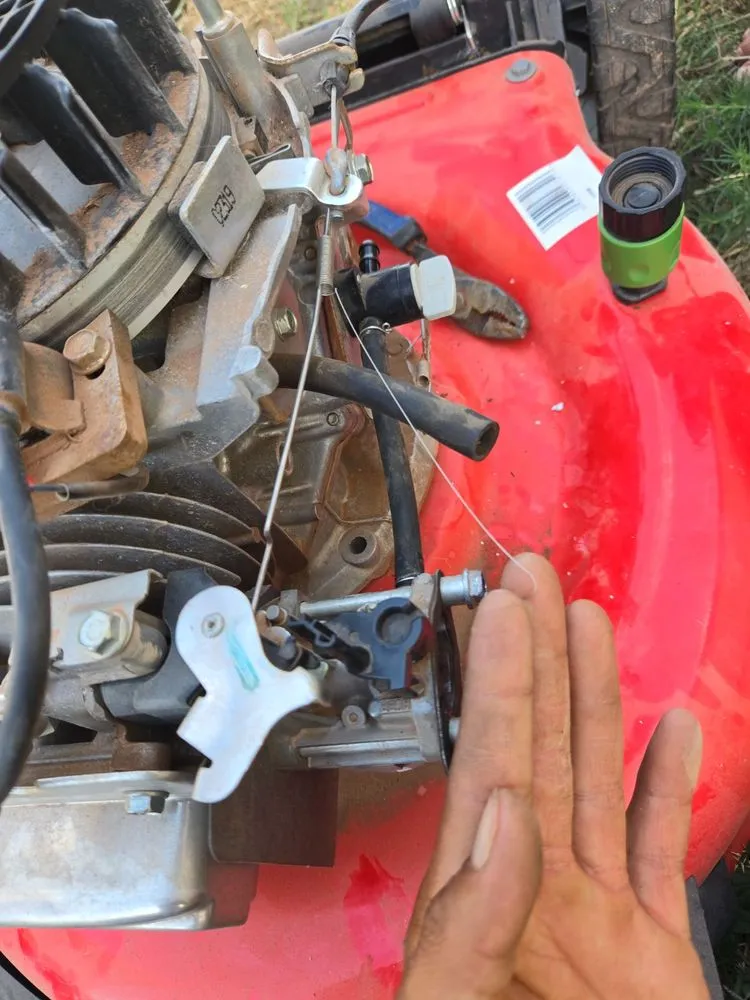 Slide of Beldon Green