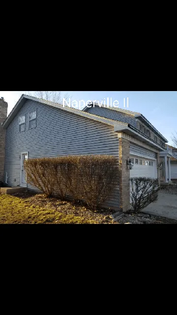 Slide of Bella Innovations