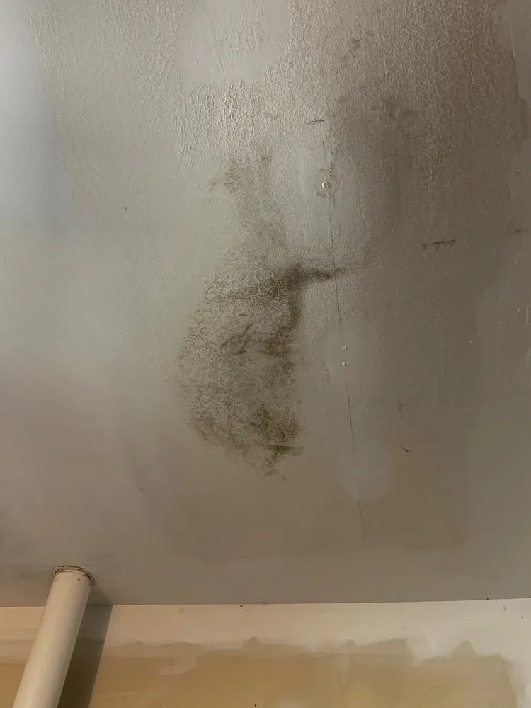 Slide of Bella Vista General Contractor