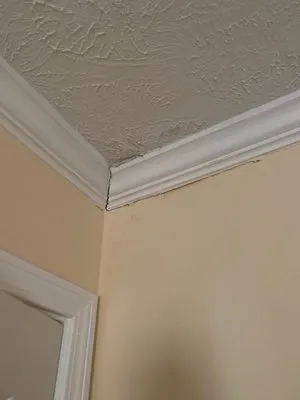 Bella Vista General Contractor