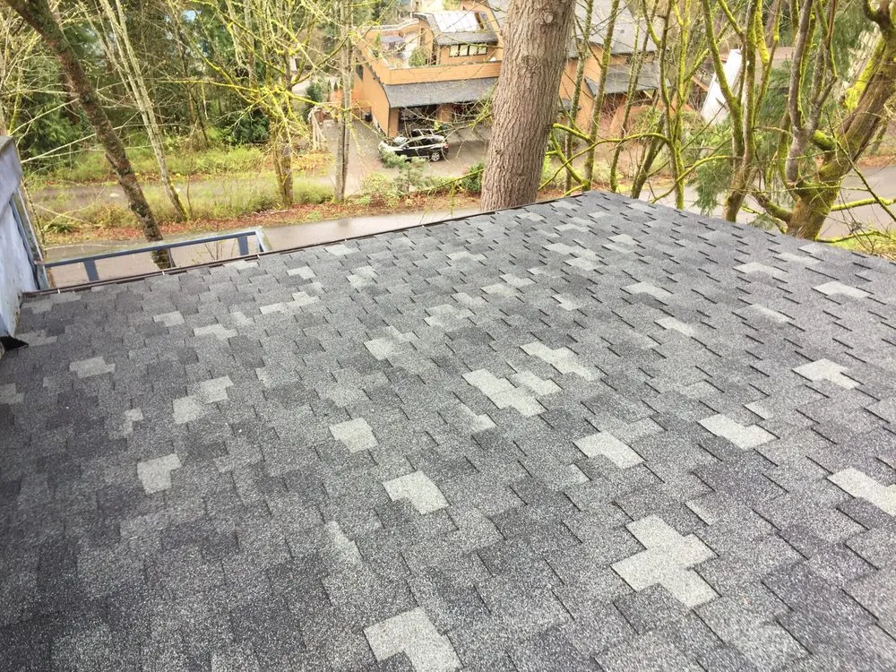 Slide of Bellingham Roof & Gutter Cleaning