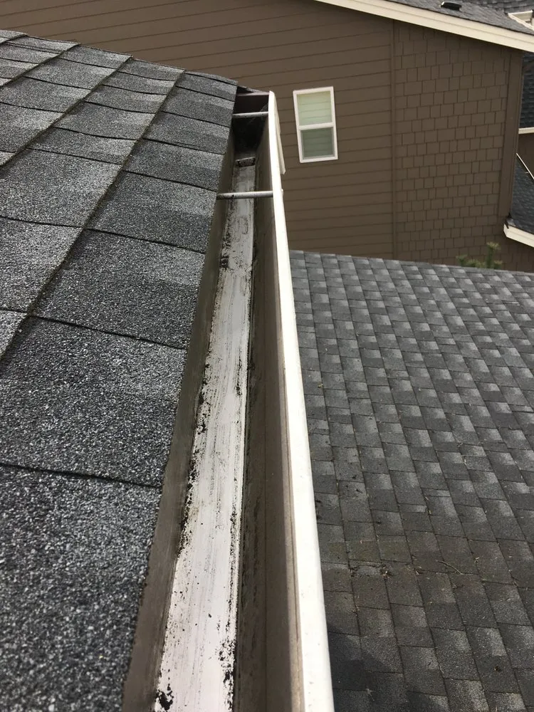 Slide of Bellingham Roof & Gutter Cleaning