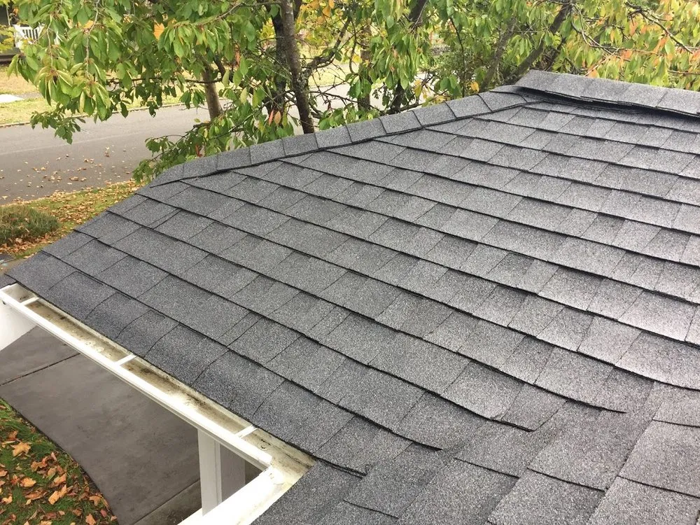 Slide of Bellingham Roof & Gutter Cleaning