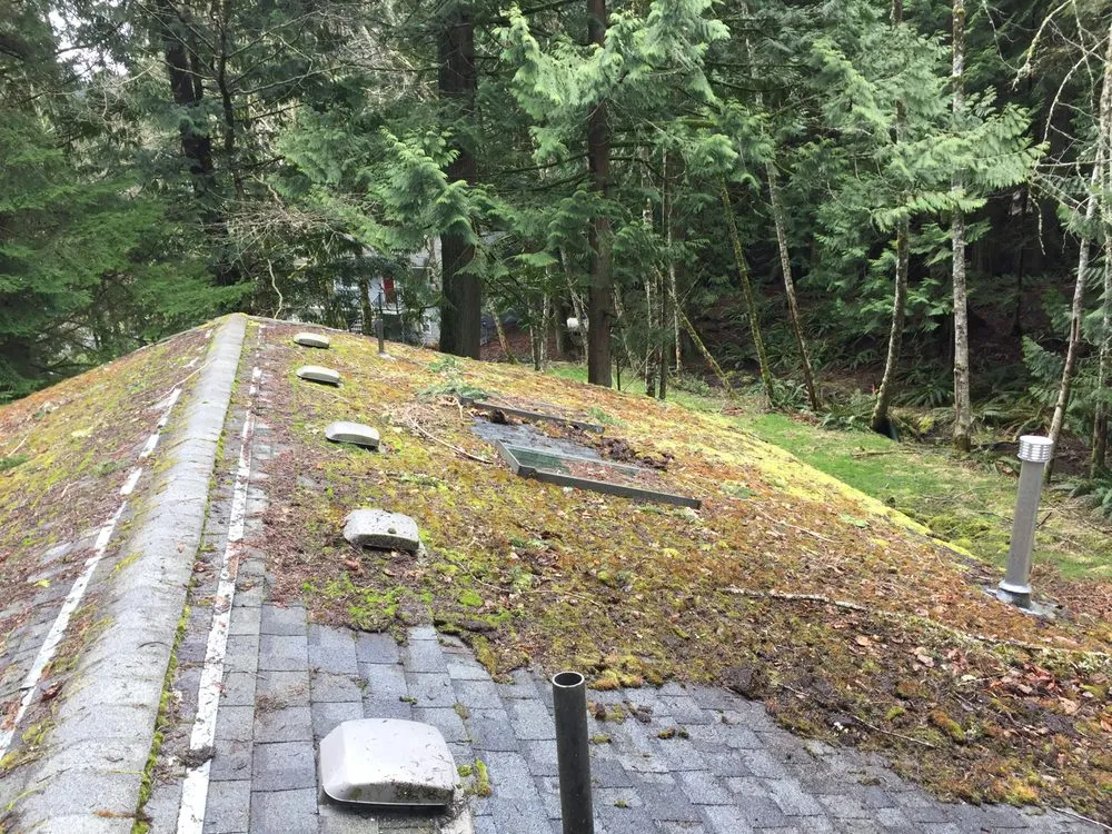 Slide of Bellingham Roof & Gutter Cleaning