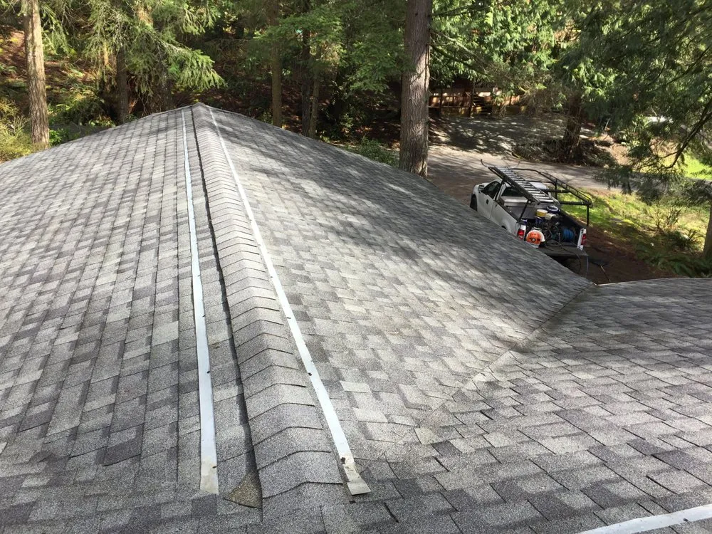 Slide of Bellingham Roof & Gutter Cleaning