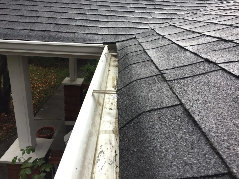 Slide of Bellingham Roof & Gutter Cleaning