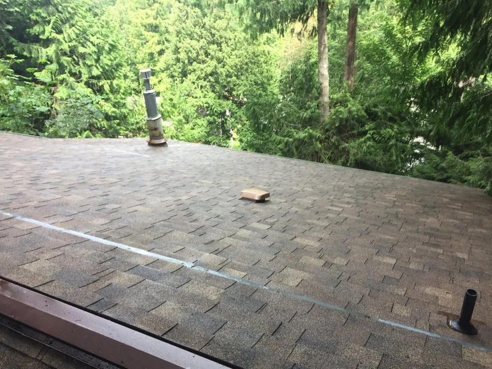Slide of Bellingham Roof & Gutter Cleaning