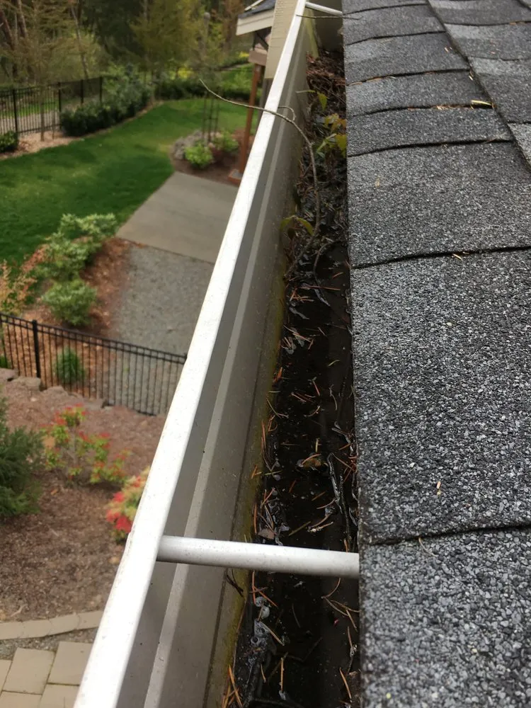 Slide of Bellingham Roof & Gutter Cleaning