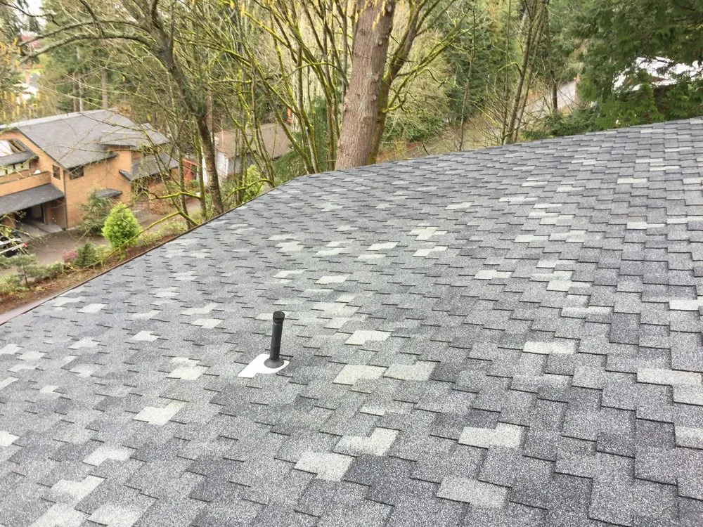Slide of Bellingham Roof & Gutter Cleaning