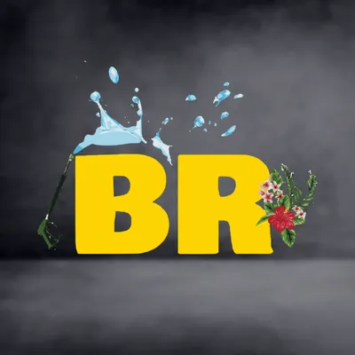 Belovora Exterior Cleaning Logo