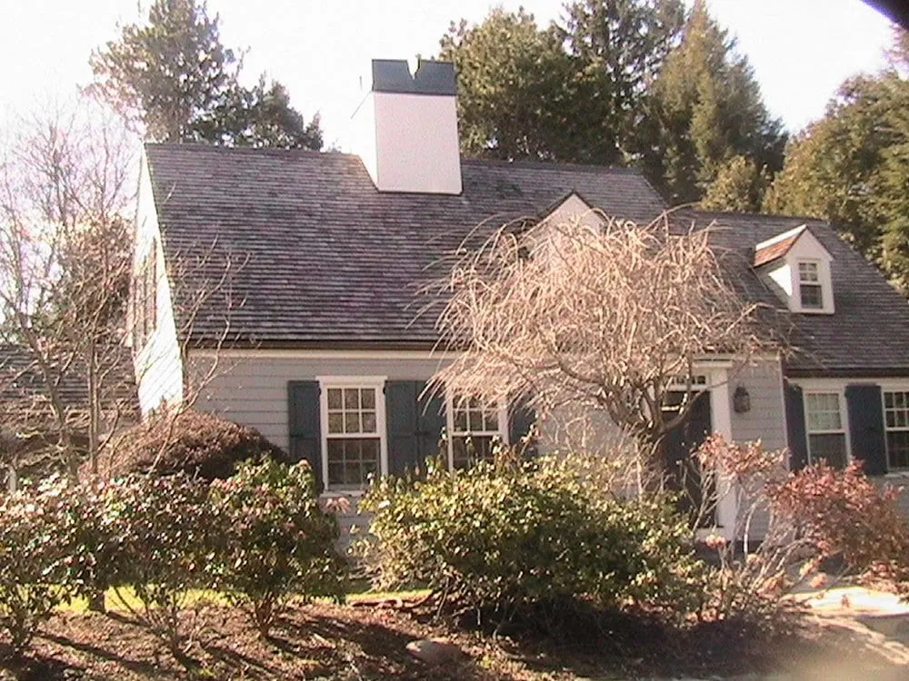 Slide of Benedictus Contracting