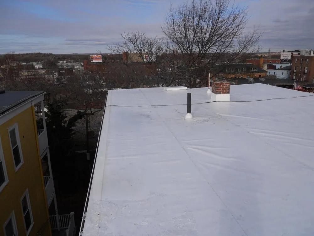 Slide of Benedictus Contracting