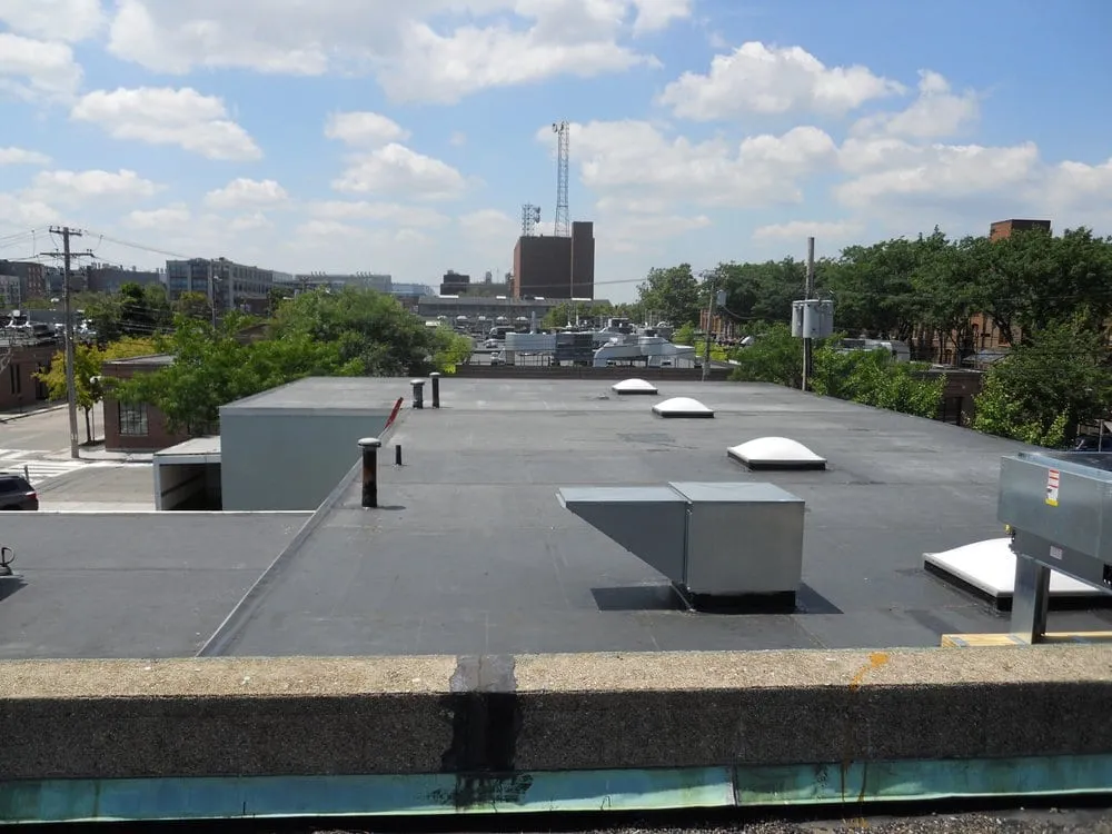 Slide of Benedictus Contracting