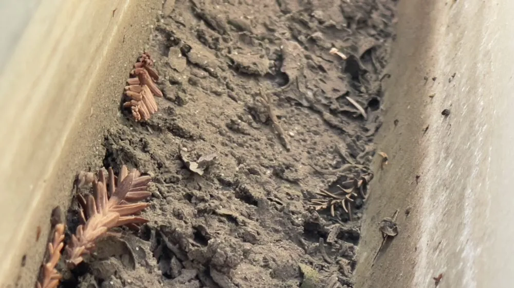 Slide of Berlins Roofing & Gutters