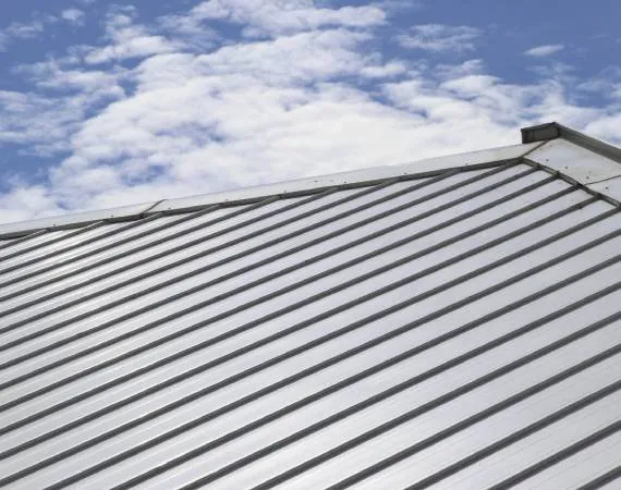 Slide of Bernal Roofing