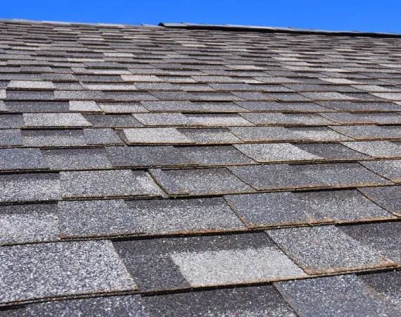 Slide of Bernal Roofing